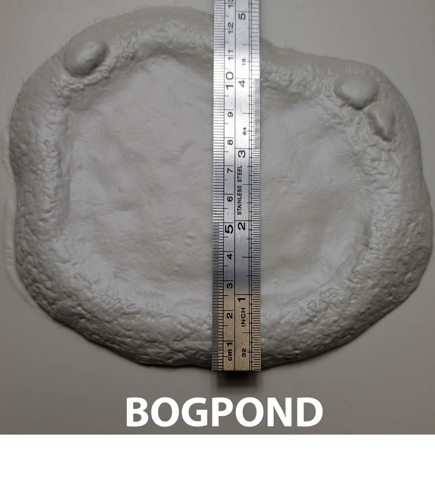 BOGPOND  Boggy Pond Form  6” x 5” Sheet