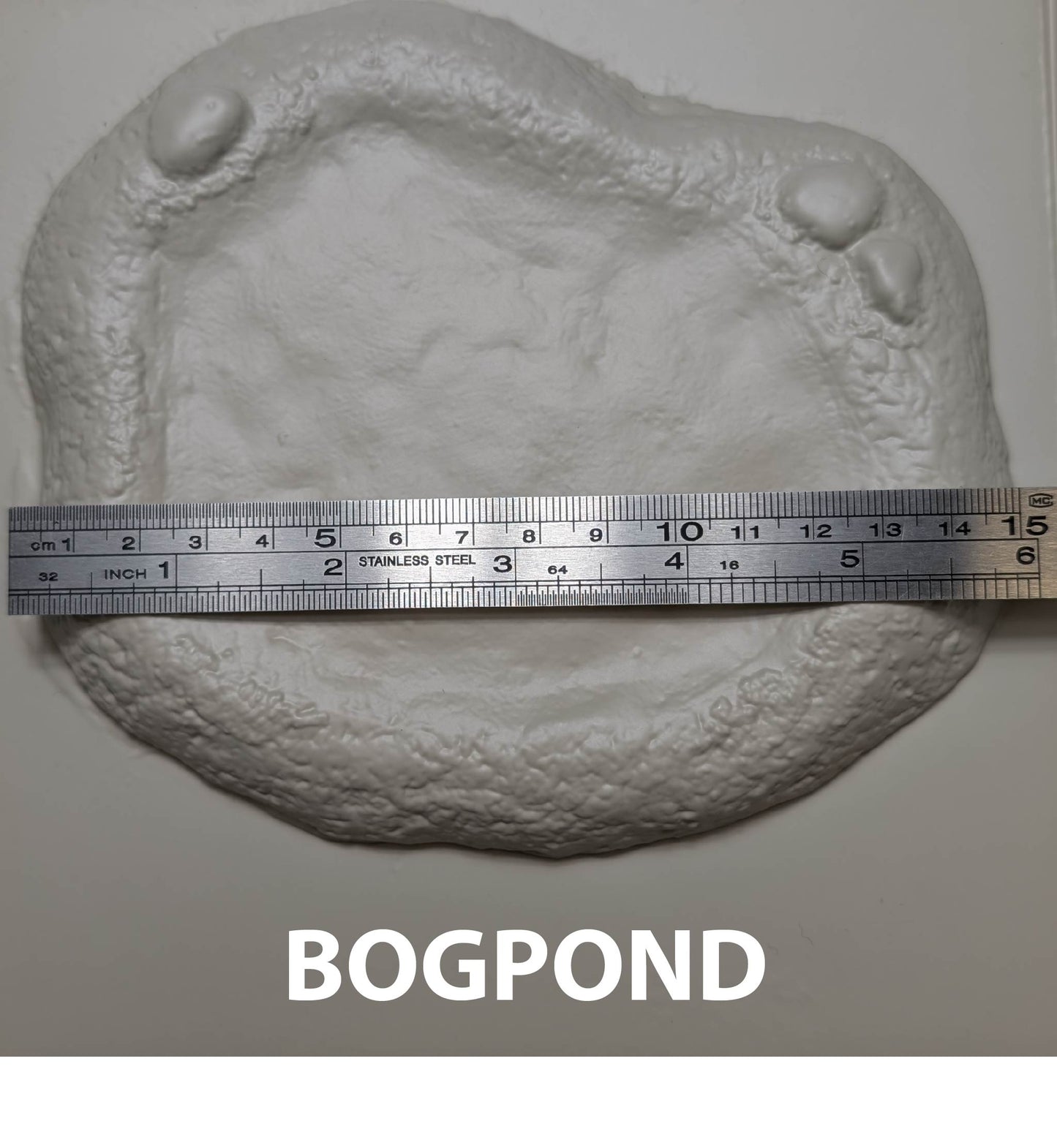 BOGPOND  Boggy Pond Form  6” x 5” Sheet