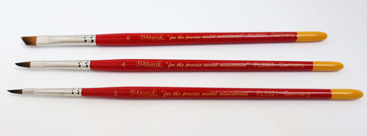 BR246 Angled Brushes