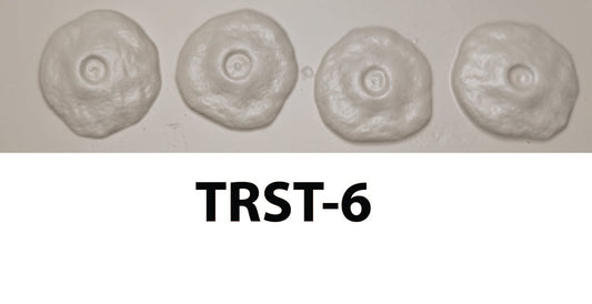 TRST-6  Tree Stand Base 1-¾”  4pc