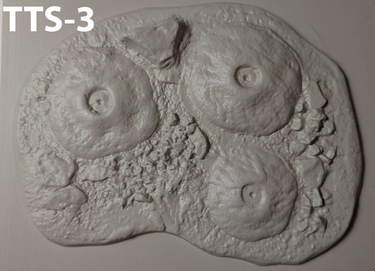 TTS-3  Tree Stand 3 Tree Spots